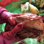 キムジャン体験レポート！キムチの作り方はこんな感じです！