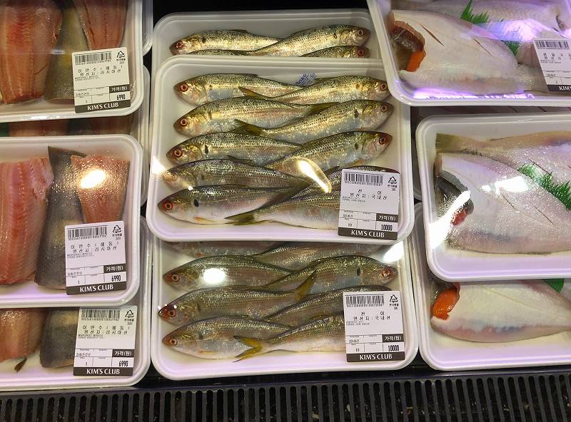 韓国の魚の種類 有名なのはイシモチ 日本とはちょっと違うお魚事情
