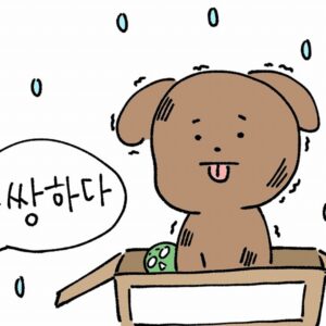 「かわいそう」を韓国語で！불쌍하다と가엾다の意味の違いは？