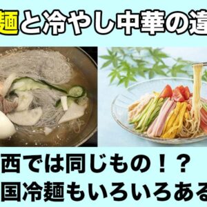 冷麺と冷やし中華の違い！関西では同じもの？韓国冷麺の種類とは？