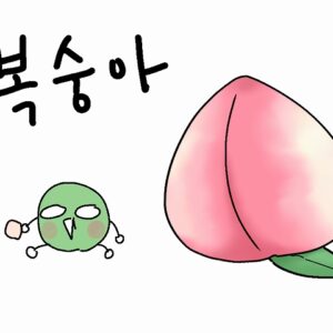 桃を韓国語で복숭아(ポクスンア)！白桃・黄桃・すももは何て呼ぶの？