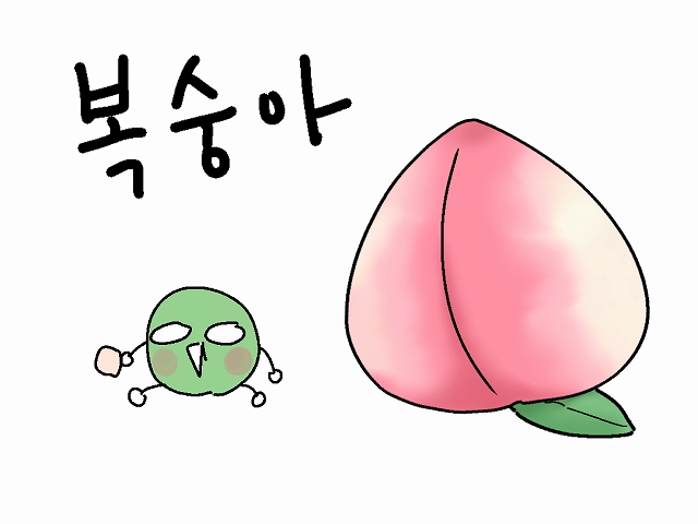 桃を韓国語で복숭아 ポクスンア 白桃 黄桃 すももは何て呼ぶの