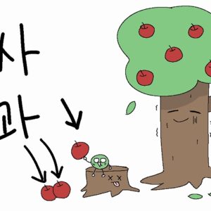 りんごは韓国語で사과(サグァ)！品種の種類まで徹底解説！