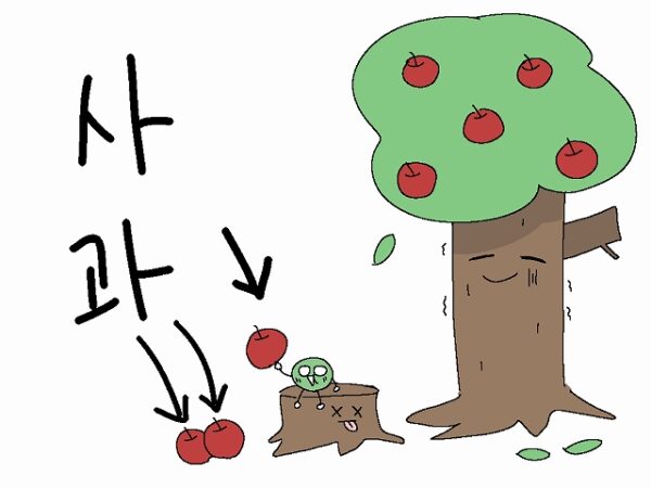 りんご 韓国語