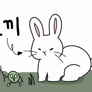 ウサギは韓国語で토끼(トキ)？びょんぴょんと飛ぶ時の表現は？