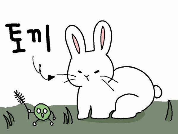 ウサギ 韓国語