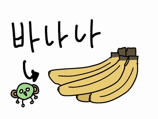 バナナ 韓国語