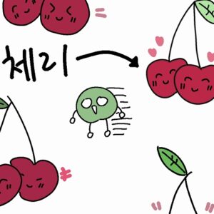 さくらんぼは韓国語で체리(チェリ)！버찌(ポチ)や앵두(エンドゥ)との違いは？