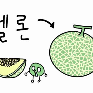 メロンを韓国語で！発音や似た表現との意味の違いを徹底解説