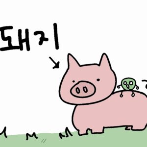 豚(ぶた)は韓国語で돼지(テジ)！日本との意味の違いも解説