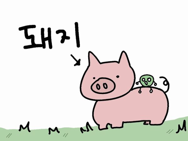 豚 韓国語